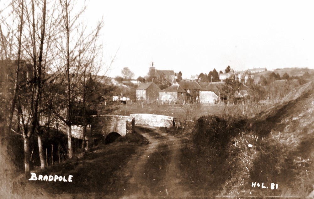 Bradpole- Postcards by Claude Hider